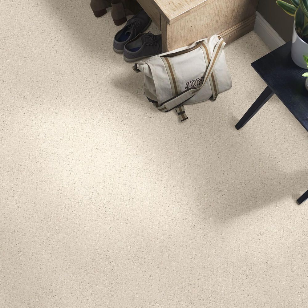 Anderson Tuftex Recital Carpet in Salt Box, , large