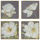 Hearth and Haven 20" x 20" Botanical Wall Art Print in White, Gold and Gray (Set of 4), , large