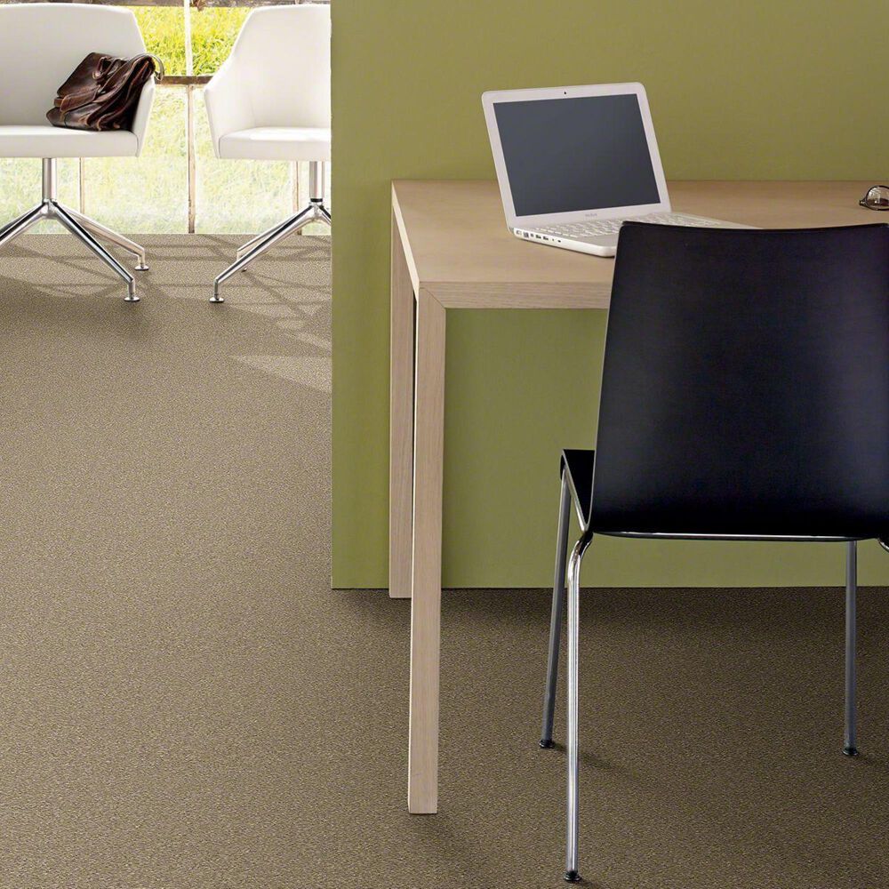 Philadelphia Basic Rules Carpet in Khaki, , large