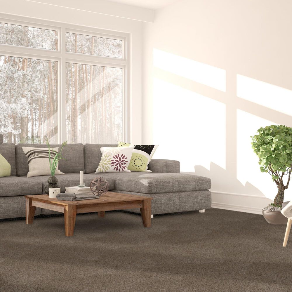 Dream Weaver Serene II Carpet in Cinnabar, , large