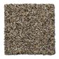 Phenix Day Break Carpet in Elements, , large