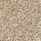 Shaw Tonal Comfort Ii Carpet in Walk On The Beach, , large