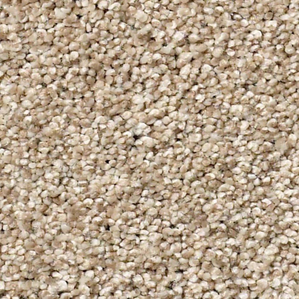 Shaw Tonal Comfort Ii Carpet in Walk On The Beach, , large