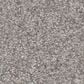 Shaw You Got This I Carpet in Rock Crystal, , large