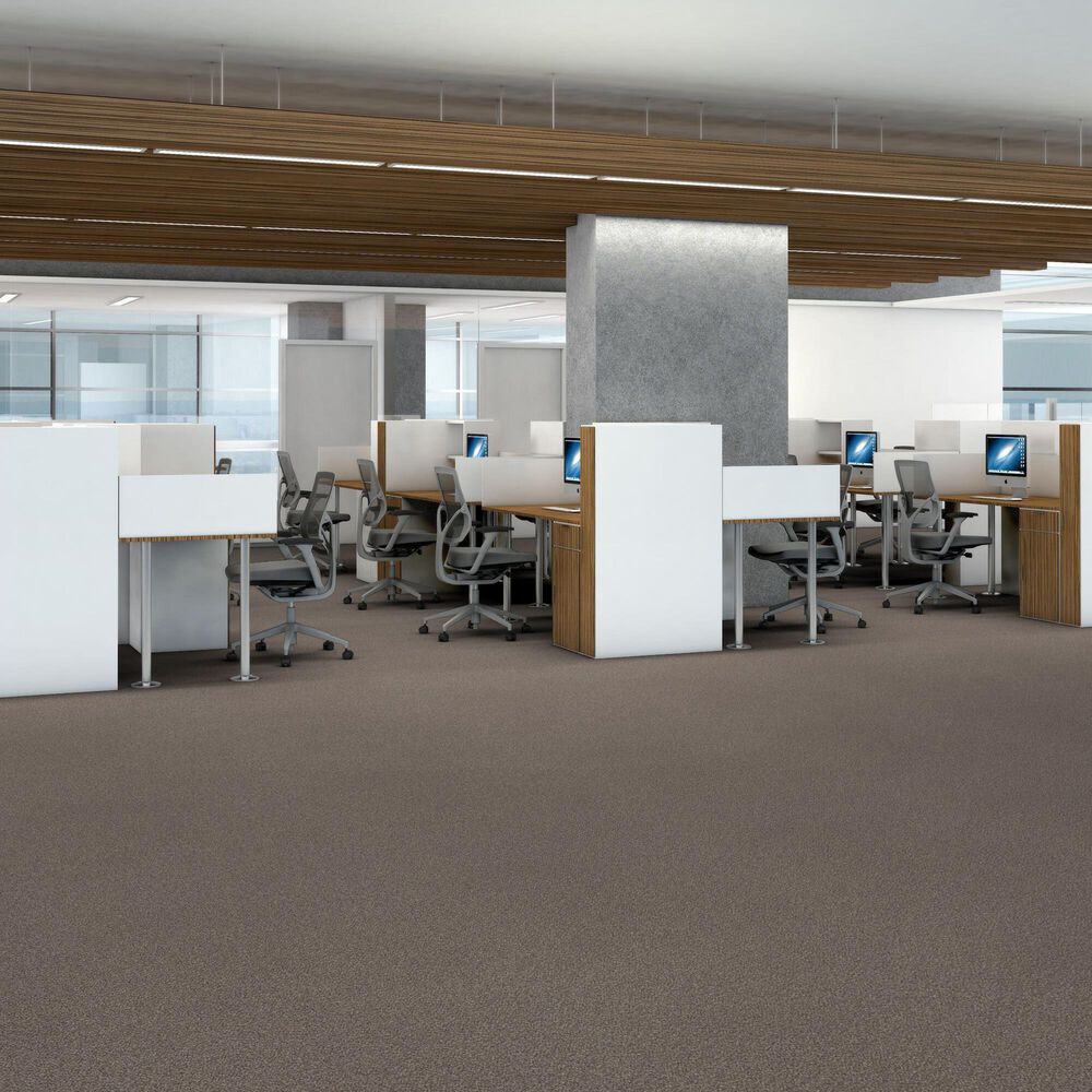 Shaw Trusplendor Carpet in Cobble Drive, , large