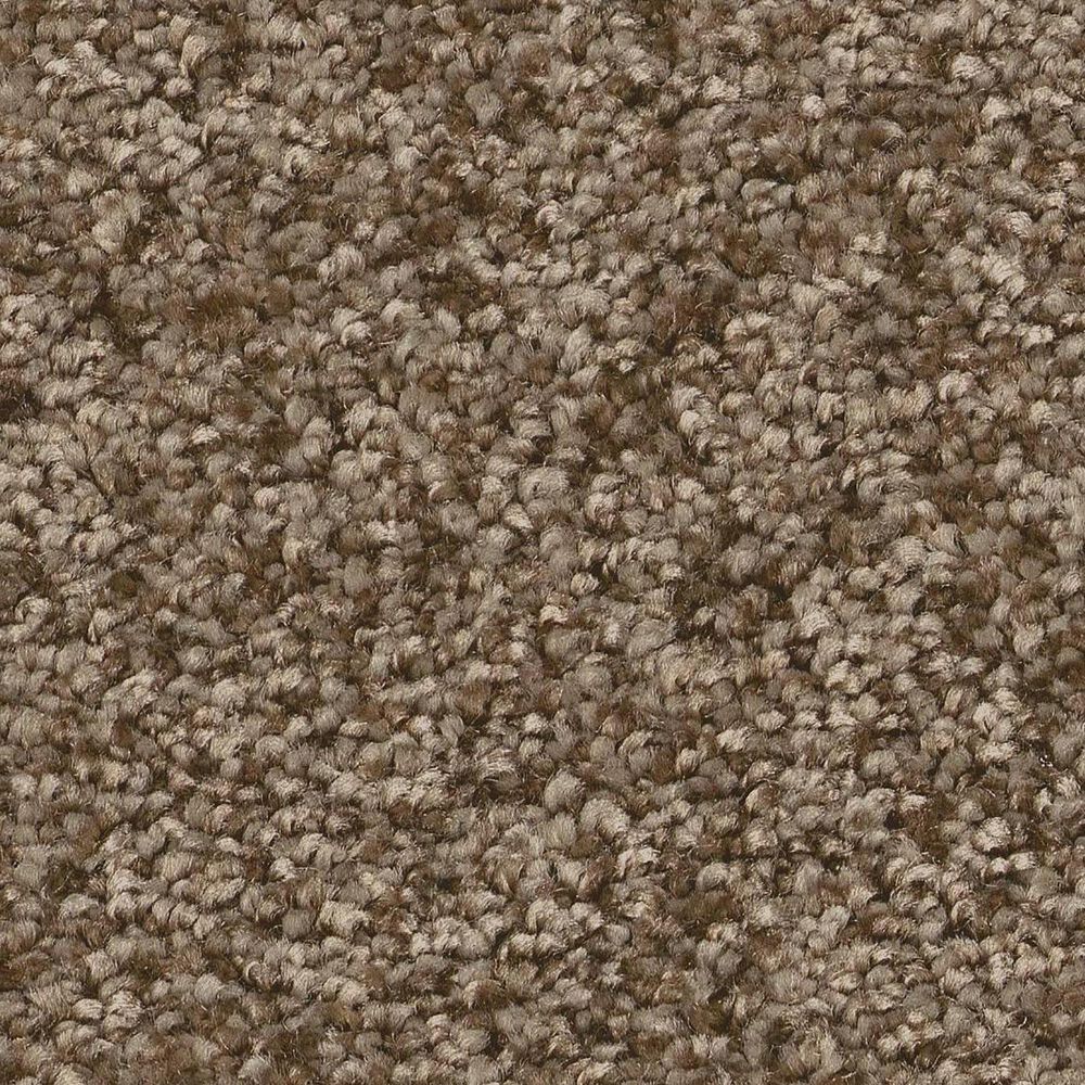 Shaw You Got This II Carpet in Mission Ridge, , large