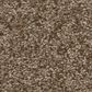Shaw You Got This II Carpet in Mission Ridge, , large
