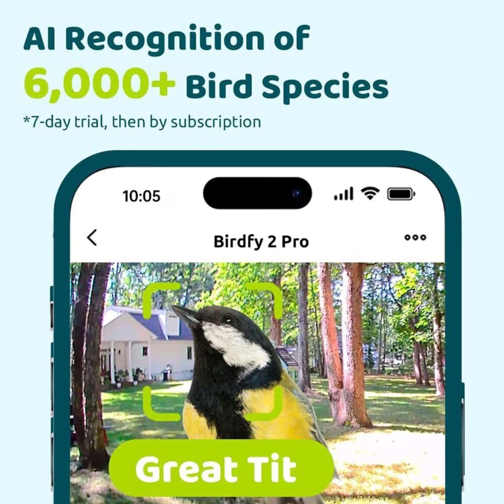 Birdfy Bird Feeder 2 with Smart Camera and Solar Panel in Green, , large