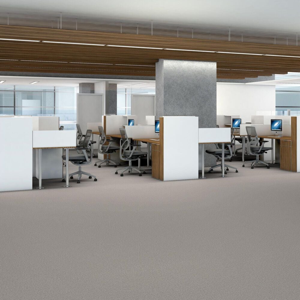 Shaw You Got This III Carpet in Frozen, , large