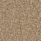 Anderson Tuftex Cypress Falls Carpet in Curry, , large