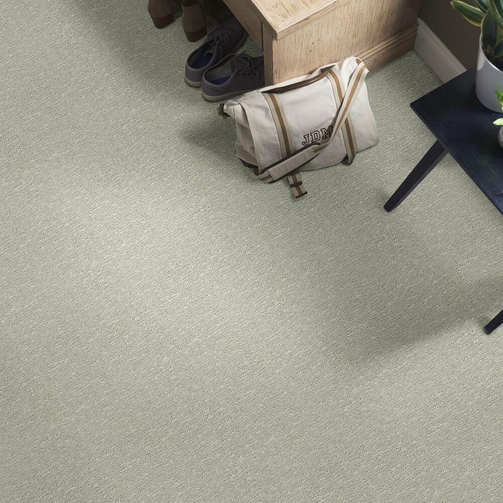 Anderson Tuftex Contour Carpet in Rain Dance, , large