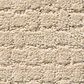 Anderson Tuftex Pawstruck Carpet in Toffee Cream, , large