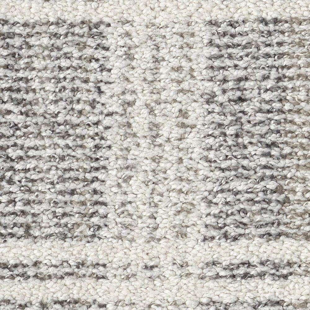 Anderson Tuftex Collab Carpet in Ski Resort, , large