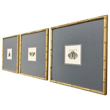 Paragon 17" x 17" Pastel Moths II Wall Art in Green (Set of 3), , large