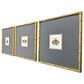 Paragon 17" x 17" Pastel Moths II Wall Art in Green (Set of 3), , large