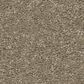 Anderson Tuftex Elegant Beauty Carpet in Slate, , large