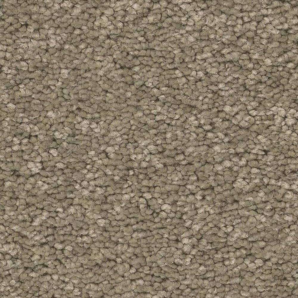Anderson Tuftex Elegant Beauty Carpet in Slate, , large