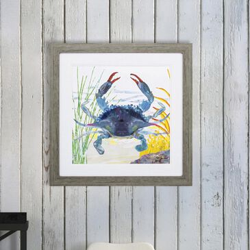 Propac Sea Creature Crab Framed Art, , large