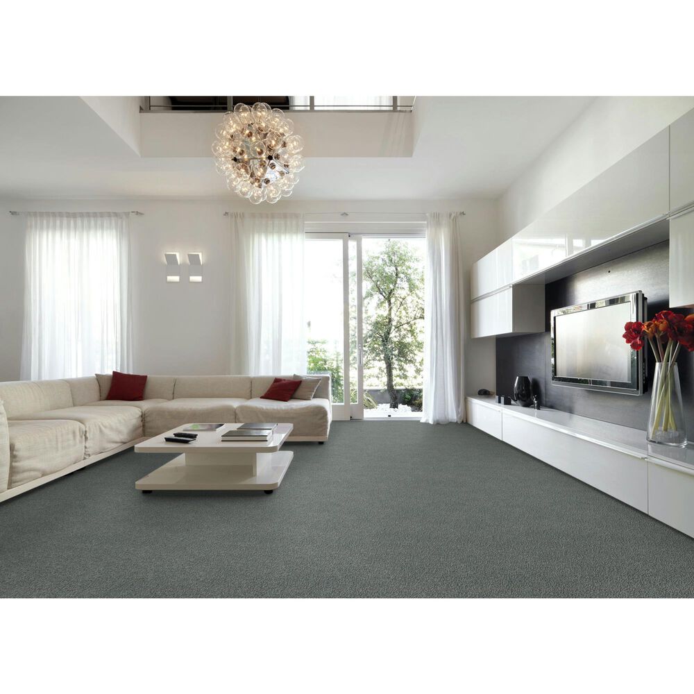 Godfrey-Hirst True North Carpet in Pelee, , large