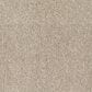 Fabrica Tundra Carpet in Toasted Graham, , large