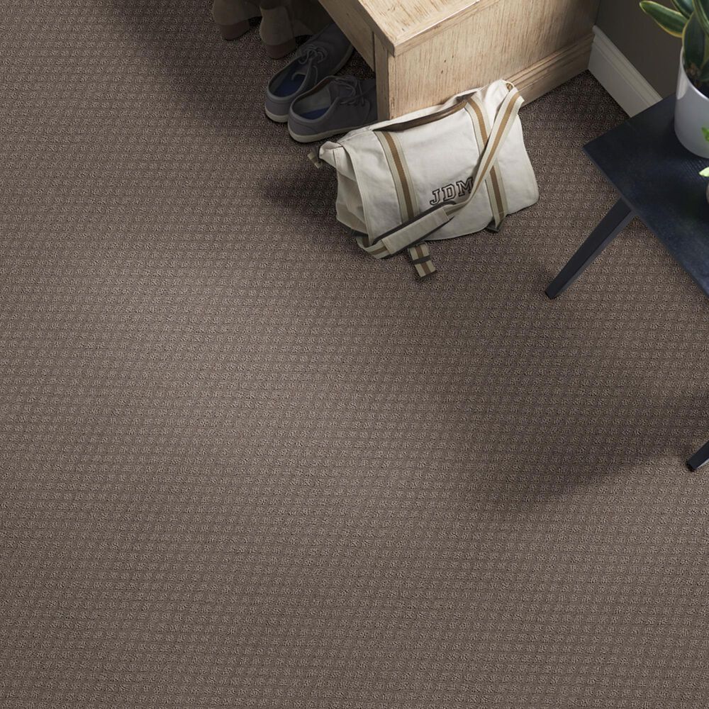Shaw Foundations Formalize Carpet in Ridgeview, , large