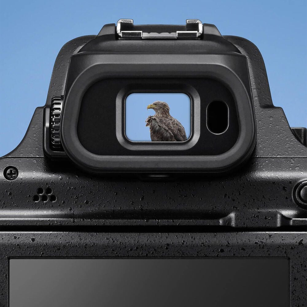 Nikon Coolpix P1100 Point and Shoot Camera in Black, , large