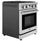 Thor Kitchen 4.8 Cu. Ft. Professional Liquid Propane Range in Stainless Steel, , large