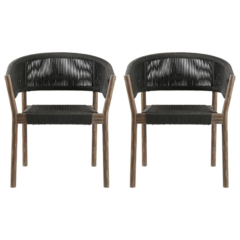 Blue River Doris Patio Dining Chair in Light Eucalyptus and Charcoal &#40;Set of 2&#41;, , large