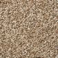 Shaw Find Your Comfort TT I Carpet in Falling Leaves, , large