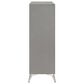 New Heritage Design Huxley 5-Drawer Chest in Gray, , large