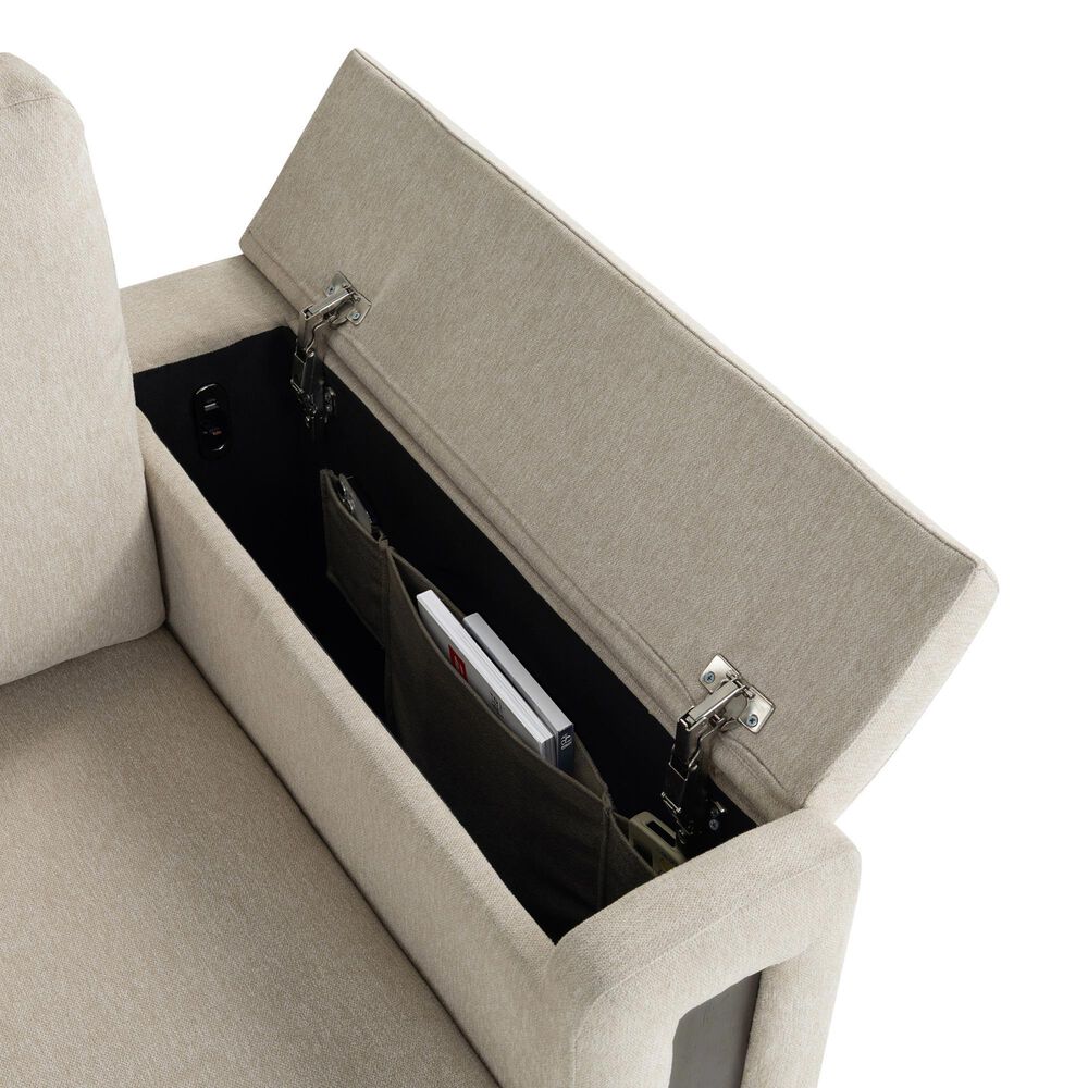 Lifestyle Solutions Riles Stationary Storage Sofa in Beige, , large