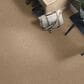 Shaw Detailed Elegance II Carpet in Twig, , large