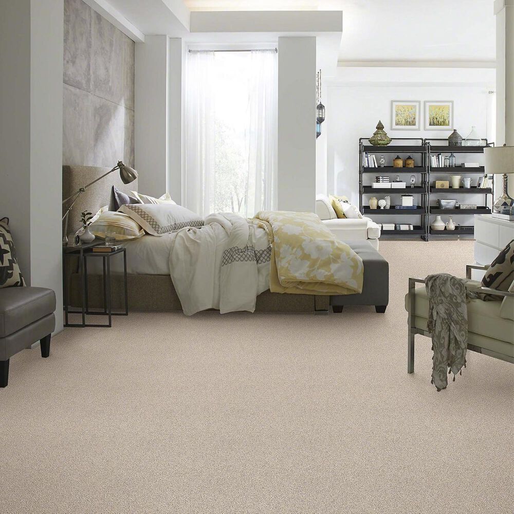 Shaw Palatial Carpet in River Rock, , large