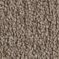 Shaw Posh Life Carpet in Cobblestone, , large