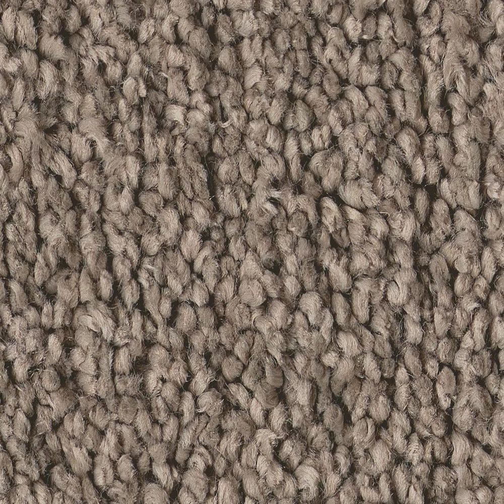 Shaw Posh Life Carpet in Cobblestone, , large