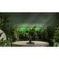MSI 24" FHD Monitor with Built-in Speakers in Black, , large