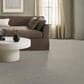 Anderson Tuftex Sneak Peek Carpet in Morning Zen, , large