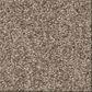 Shaw Comforting I Carpet in Boardwalk, , large