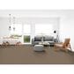 Dixie Home Sensible Carpet in Maple, , large