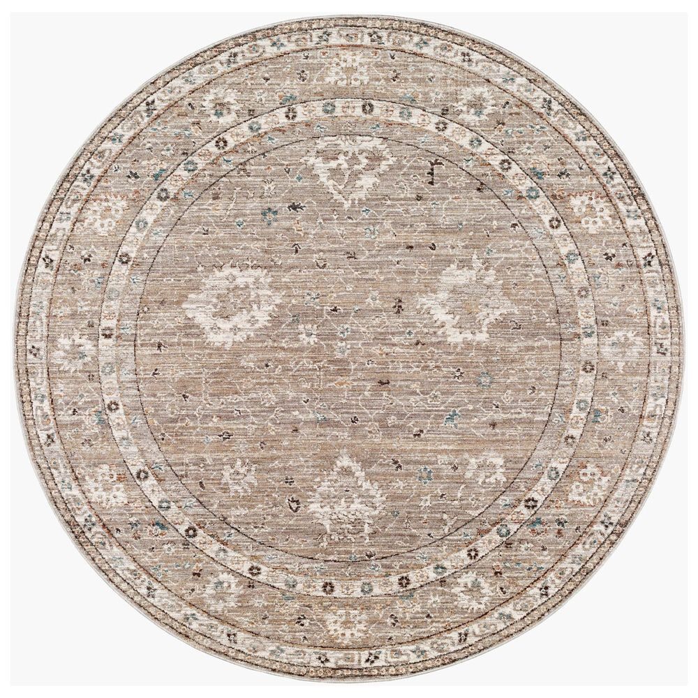 Surya Carlisle 5&#39;3&quot; Round Sage, Ivory, Pale Blue, Charcoal and Brown Area Rug, , large