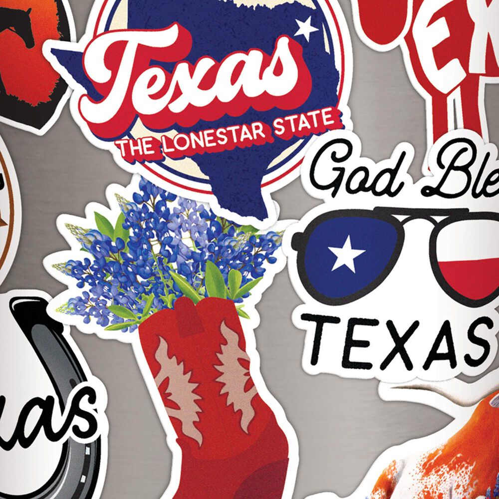 Carson Gifts Texas 4-in-1 Tumbler in Multicolor, , large