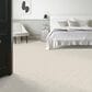 Anderson Tuftex Appreciation Carpet in Mohair, , large
