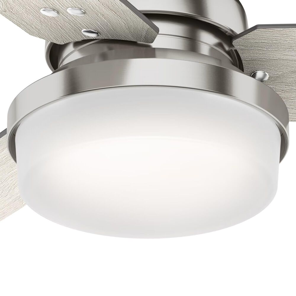 Hunter Sentinel 44&quot; Ceiling Fan with LED Lights in Brushed Nickel, , large