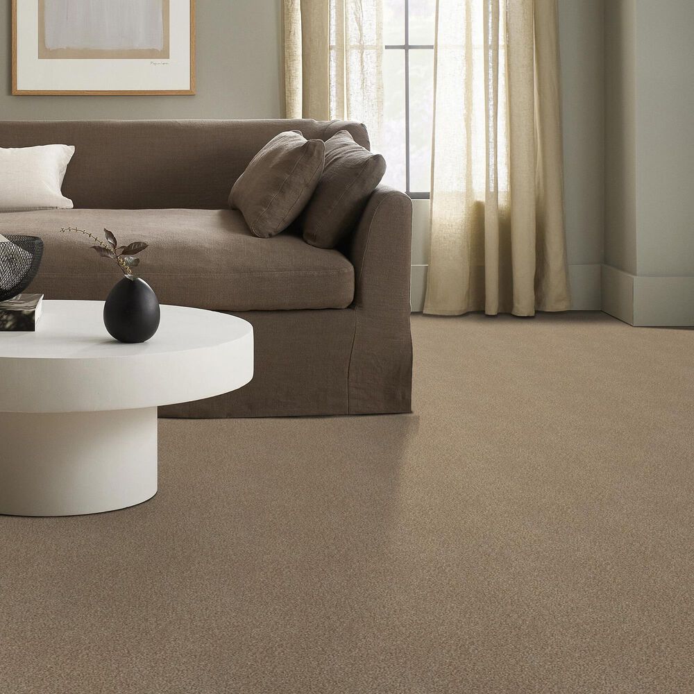 Shaw Tonal Comfort I Carpet in Falling Leaves, , large