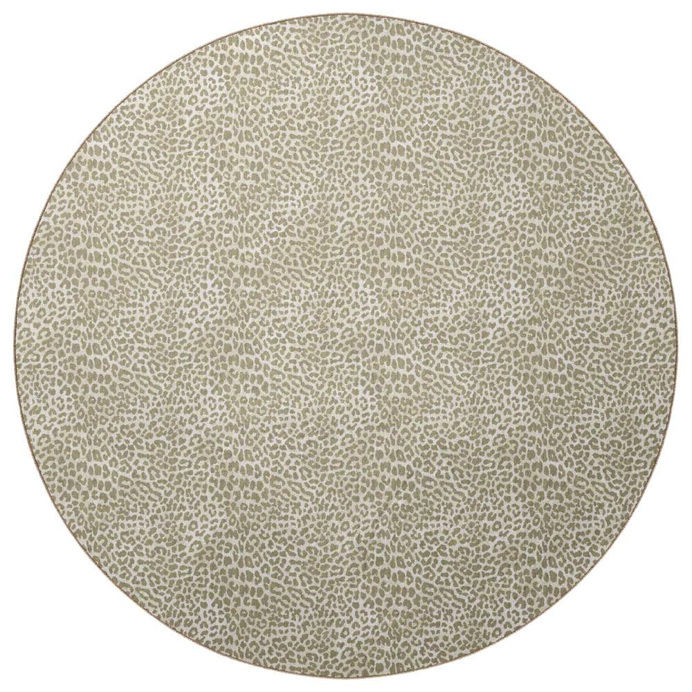 Dalyn Rug Company Akina AK2 8" Round Stone Area Rug, , large