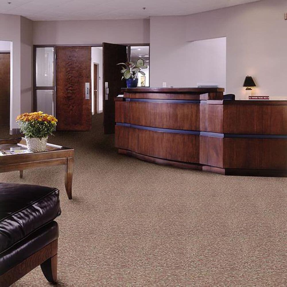 Shaw Franchise Carpet in Pumpkin Patch, , large