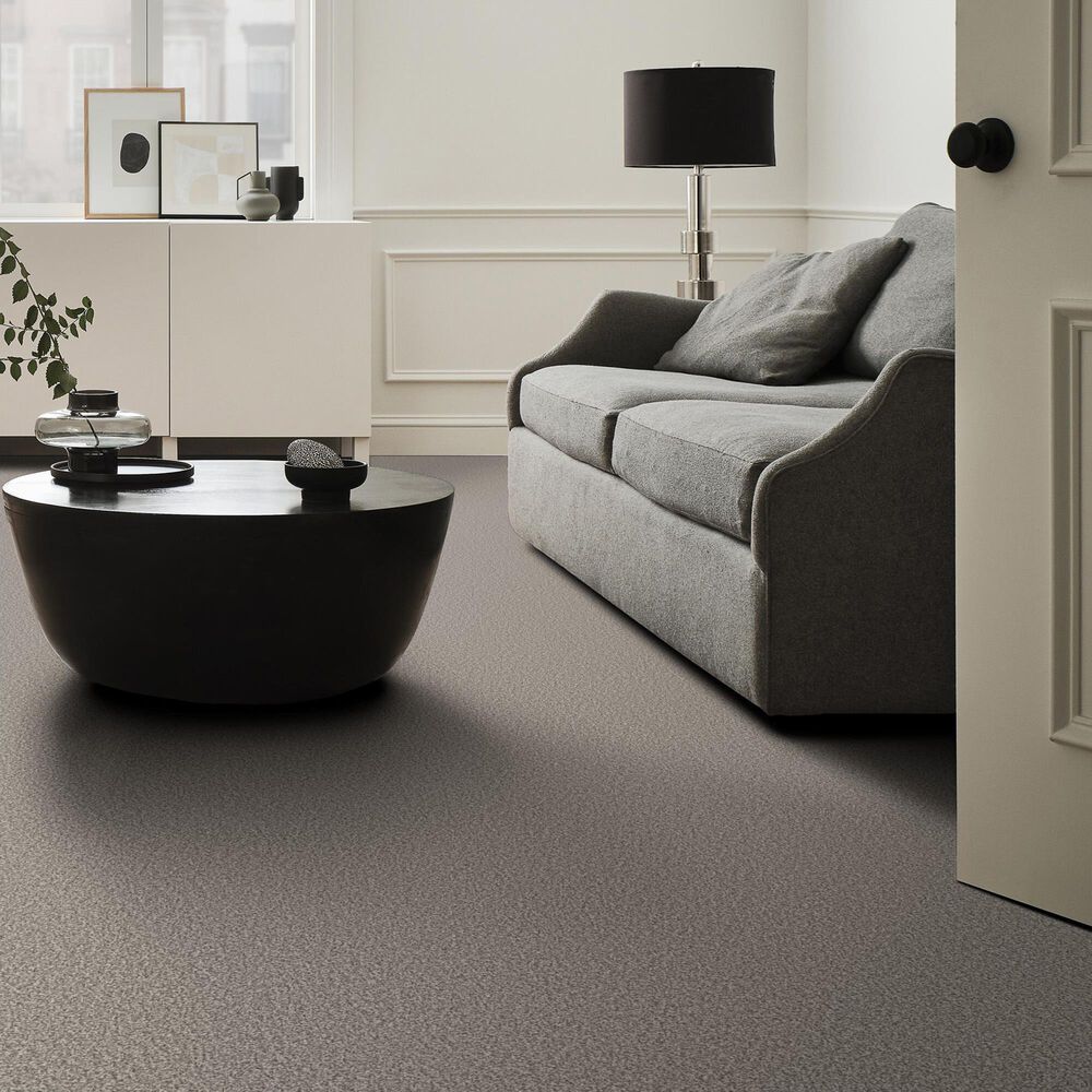 Shaw Tweed Comfort II Carpet in Stand Out, , large