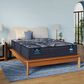 SERTA Perfect Sleeper X Knox Plush Twin XL Mattress with High Profile Box Spring, , large