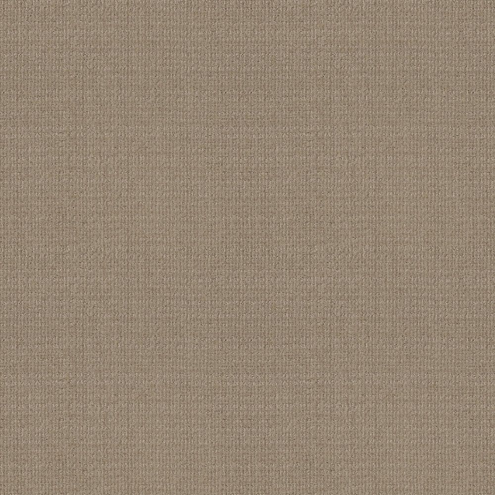 Shaw Sierra Vista Carpet in High Noon, , large
