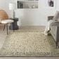 Nourison Colorado 7"9" x 9"9" Ivory Area Rug, , large